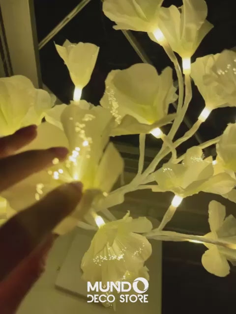 Bonsai Led Shito