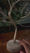Bonsai LED Vassoura