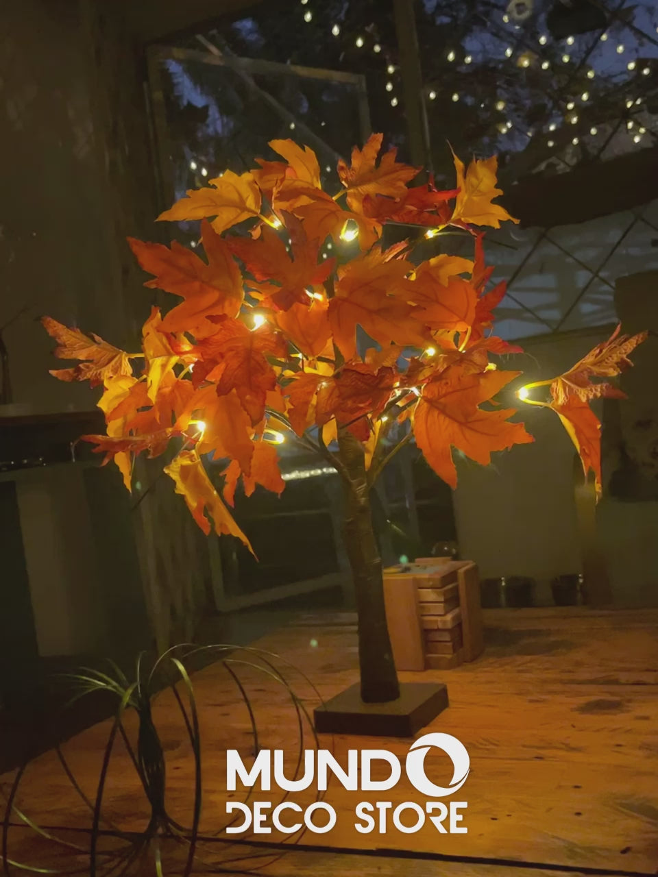 Bonsai LED Acer