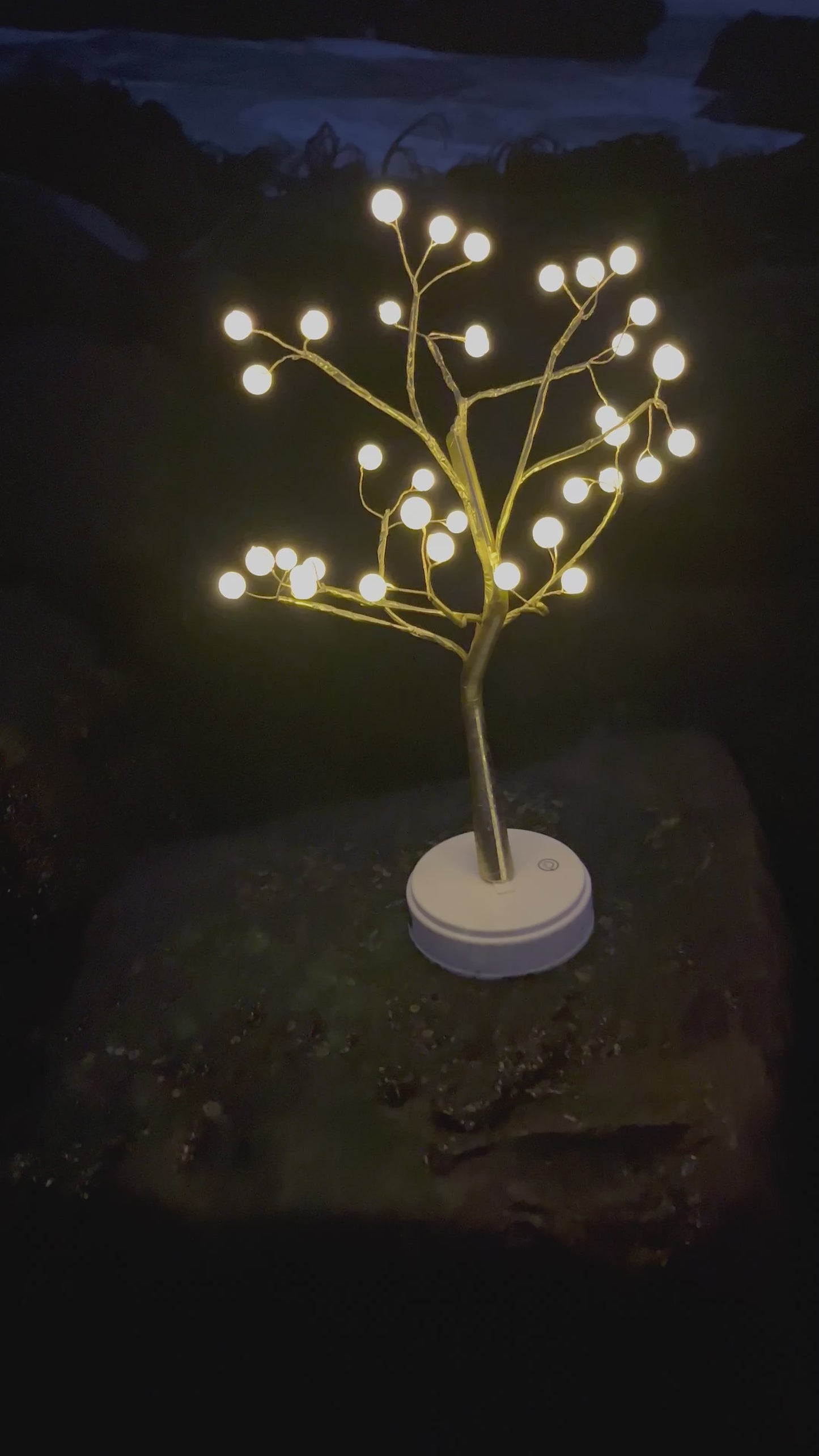 Bonsai LED Original