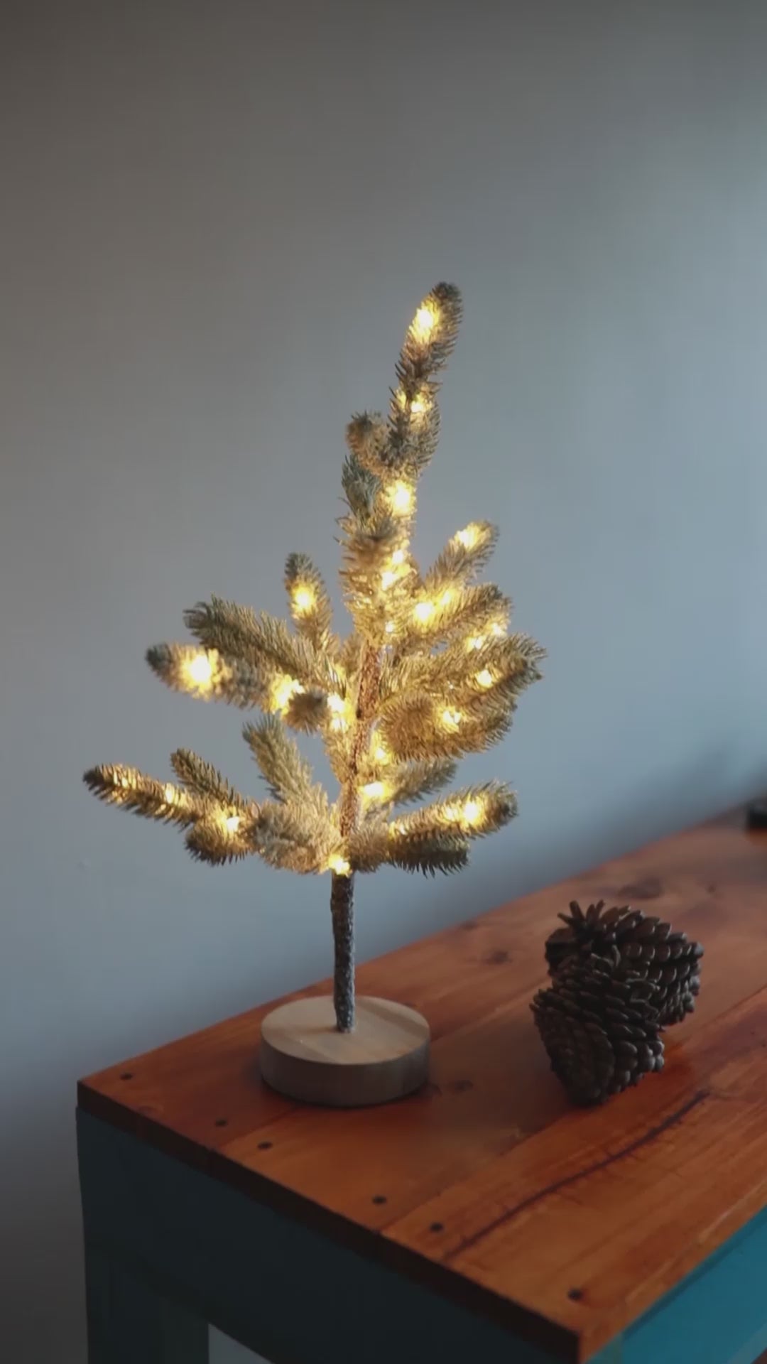 Bonsai LED Cipres